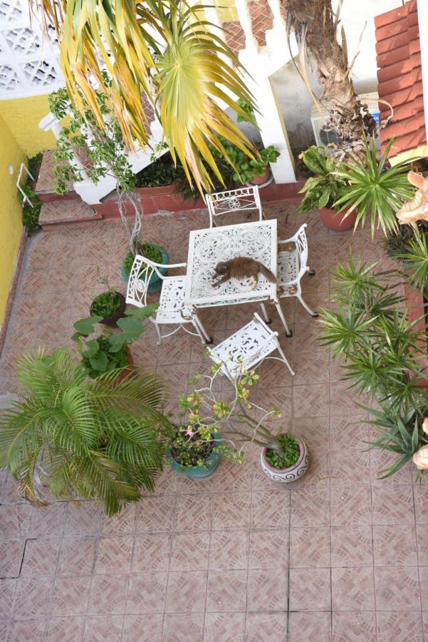 Mini-hôtel Cancun Guest House